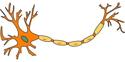 neuron-ge12f19185_1280.png