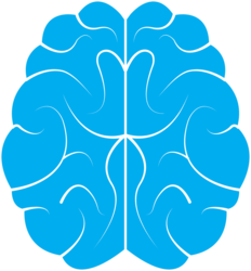 brain-g7aee1c68e_1280.png