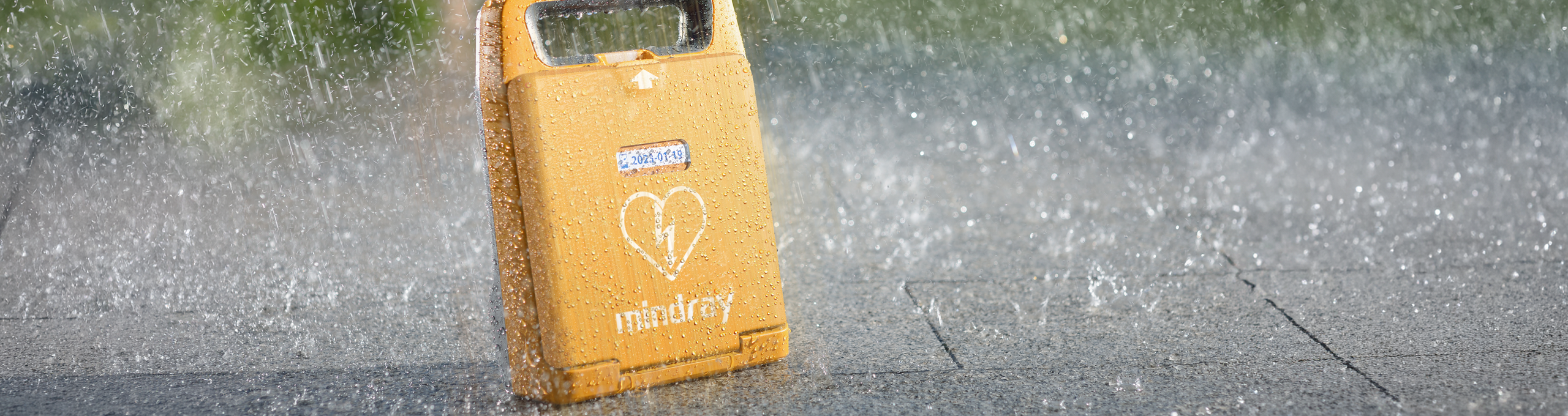 Kopfbilder Mindray BeneHeart C1A