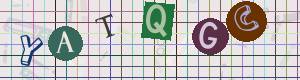 Captcha-Code - Es besteht die Möglichkeit, sich den Captcha-Code vorlesen zu lassen, klicken sie dazu auf den Button mit dem Titel 'Liest den Captcha-Code vor(Audioausgabe)'
