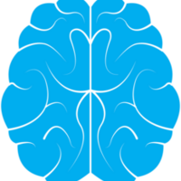 brain-g7aee1c68e_1280.png