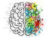 https://www.kuttner.com/var/cache/thumb_5889_1076_1_100_100_r2_jpeg_brain_2062057_1280.jpeg